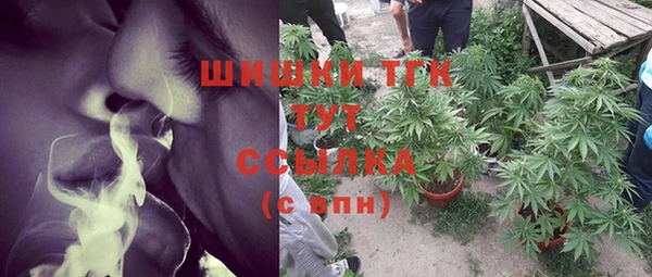 spice Осинники