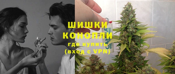spice Осинники