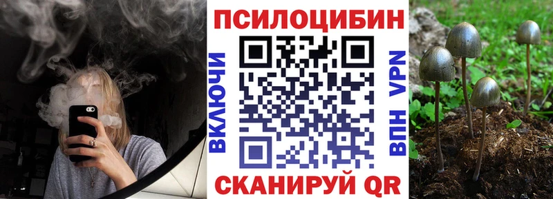 наркотики  Бийск  Галлюциногенные грибы Psilocybe 